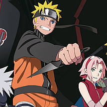 Плакат "Наруто: Дорога до ніндзя, Naruto: Road to Ninja", 60×40см, фото 3