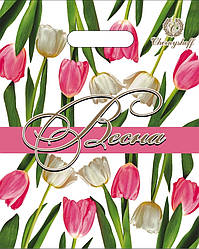 Поліетиленовий пакет із прорізною ручкою 240*300 мм 50 шт.