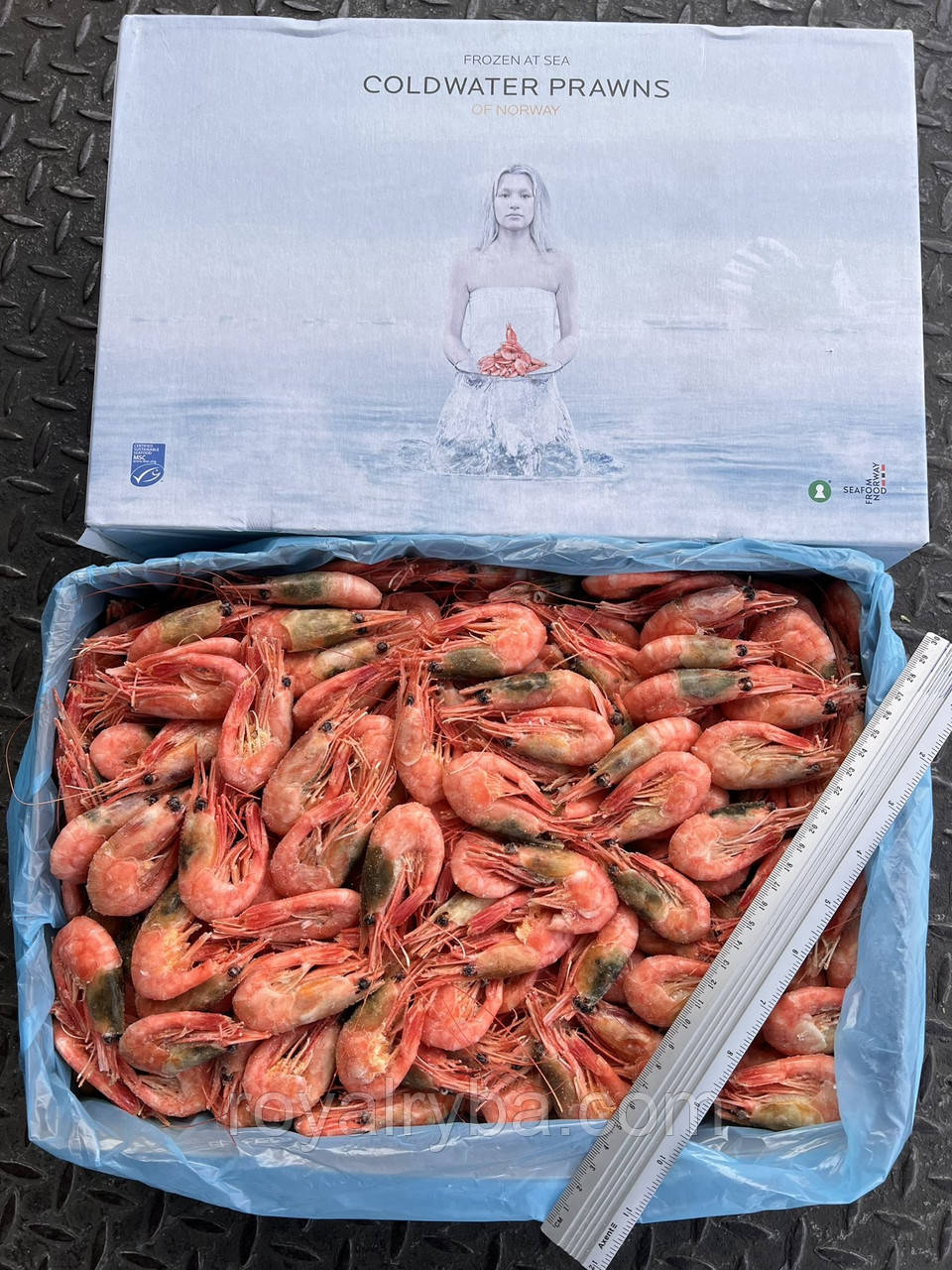 Креветки. Морепродукти