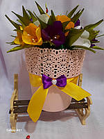 Подарунковий набір "Крокуси у вазоні" 22*18