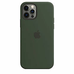 Силіконовий чохол iPhone 12 /12 Pro Apple Silicone Case Cyprus Green