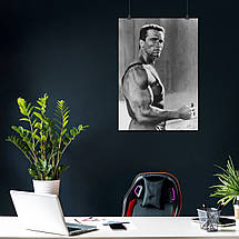 Плакат "Арнольд Шварценеггер із сигарою, Arnold Schwarzenegger", 60×43см, фото 3