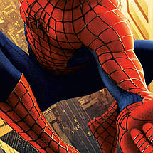 Плакат "Спайдермен 1, Spider-Man (2002)", 60×40см, фото 3