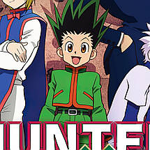 Плакат "Мисливець на Мисливця, аніме, Hunter x Hunter", 60×43см, фото 3