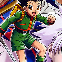Плакат "Мисливець на Мисливця, аніме, Hunter x Hunter", 60×45см, фото 3