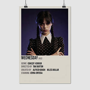 Плакат "Венздей , Wednesday (2022)", 60×40см