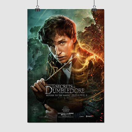 Плакат "Фантастичні звірі, Ньют Скамандер, Fantastic Beasts, Newt Scamander", 60×41см, фото 1