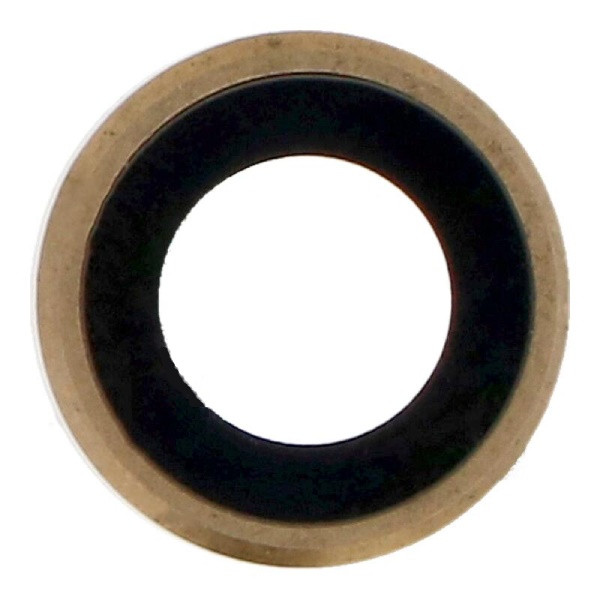 Скло камери iPad Pro 12.9 2017 золотисте + кільце, фото 1