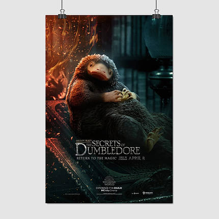 Плакат "Фантастичні звірі, Тедді, Fantastic Beasts, Teddy the Niffler", 60×41см, фото 1