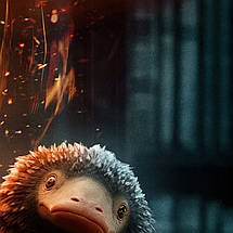 Плакат "Фантастичні звірі, Тедді, Fantastic Beasts, Teddy the Niffler", 60×41см, фото 3