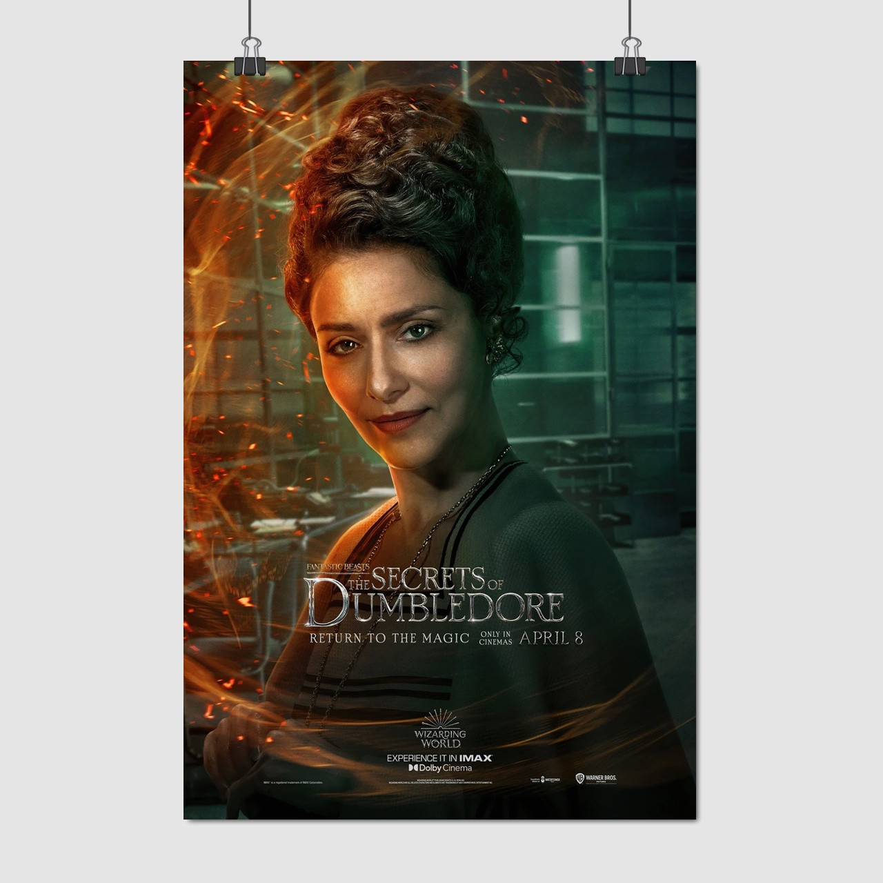 Плакат "Фантастичні звірі, Вісенсія Сантос, Fantastic Beasts, Vicência Santos", 60×41см