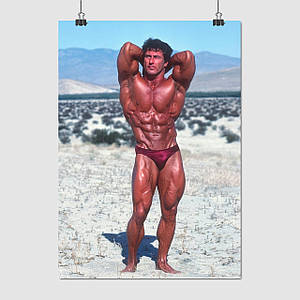Плакат "Френк Зейн, бодібілдер, Frank Zane", 60×43см