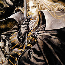 Плакат "Кастлванія, Castlevania", 60×43см, фото 2
