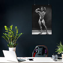 Плакат "Френк Зейн, бодібілдер, Frank Zane", 60×40см, фото 3