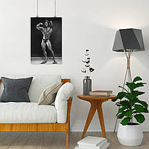 Плакат "Френк Зейн, бодібілдер, Frank Zane", 60×40см, фото 4