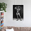 Плакат "Френк Зейн, бодібілдер, Frank Zane", 60×40см, фото 6