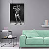 Плакат "Френк Зейн, бодібілдер, Frank Zane", 60×40см, фото 8