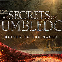 Плакат "Фантастичні звірі: Таємниці Дамблдора, Fantastic Beasts: Secrets of Dumbledore", 60×41см, фото 3