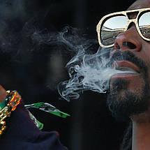 Плакат "Снуп Доґґ, Snoop Dog", 45×60см, фото 2