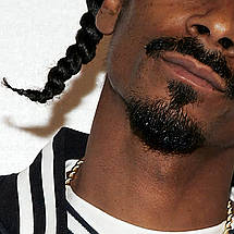Плакат "Снуп Доґґ, Snoop Dog", 48×60см, фото 2