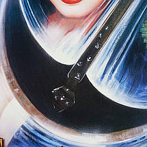Плакат "Ельвіра — володарка темряви 2, Elvira's Haunted Hills (2001)", 60×41см, фото 3