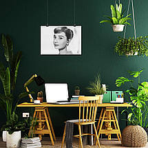 Плакат "Одрі Хепберн, Audrey Hepburn", 43×60см, фото 5