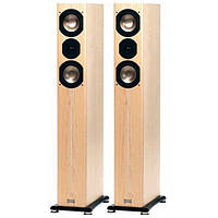 ASW Cantius 504