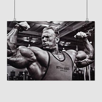 Плакат "Бодибілдер Деннис Вольф, Dennis Wolf", 41×60см, фото 1