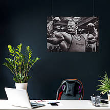 Плакат "Бодибілдер Деннис Вольф, Dennis Wolf", 41×60см, фото 3