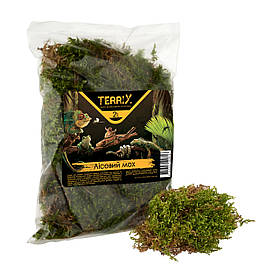 Мох для тераріуму TerriX Лісовий 2 л / Декоративний субстрат для тераріуму равликів Ахатин, рептилій і амфібій