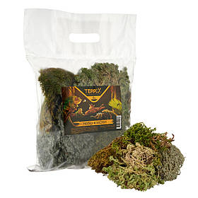 Набір 4 МОХИ для тераріуму TerriX 5 л (мох лісовий Плевроцій Шребера, Сфагнум, Ягель, Дикранум)