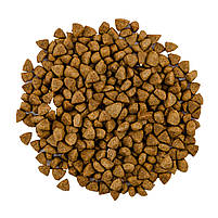 Сухий корм Savory для кастрованих котів зі свіжим м’ясом ягняти та курки, 400 г, фото 3