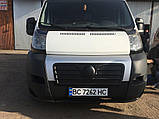 Зимова решітка (2006-2014) Глянцева для Fiat Ducato рр, фото 5