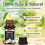 Аромадифузор та Набір Ефірних Масел Оригінал 14 шт по 5 мл Hypprey Oils Іспанія, фото 4