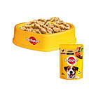 Корм Pedigree консервований повнораційний для дорослих собак з куркою в соусі,д/п 100г (Педігри), фото 6
