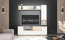 Тумба під телевізор Норд RTV2D1K1S  590х1870х400мм кашемір + дуб сонома  Гербор, фото 3