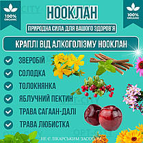 Краплі від алкоголізму Нооклан від алкоголю для лікування алкогольної залежності та покращення самопочуття, фото 3