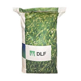 РІВЕНДЕЛ - Конюшина біла повзуча(Тrifolium repens) 25 кг