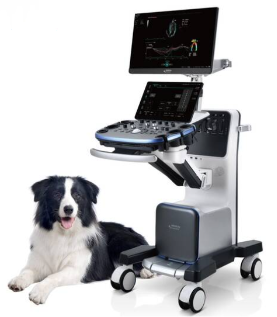 УЗД апарат для тварин Vetus 9 Gold Mindray Animal