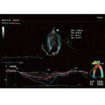 УЗД апарат для тварин Vetus 9 Premium Mindray Animal, фото 3