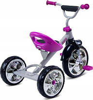 Дитячий триколісний велосипед Toyz York TOYZ-0330, фото 3