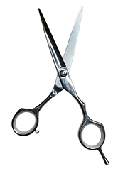 Професійні прямі ножиці для волосся Sway Elite 202 5,5 дюйма