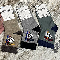 Бавовняні шкарпетки для хлопчиків Sport Cars