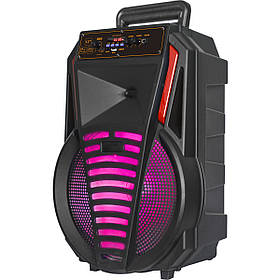 Акумуляторна акустика BIG12PREDATOR usb/mp3/fm/bt + Шнуровий мікрофон