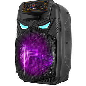 Акумуляторна акустика BIG12ALIEN usb/mp3/fm/bt + Шнуровий мікрофон