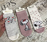 Бавовняні шкарпетки для дівчаток із гальмами 1-2,3-4, фото 2