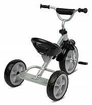 Дитячий триколісний велосипед Toyz York TOYZ-0304, фото 3
