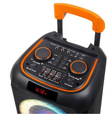 Портативна колонка RGB NDR-1095 акустична акумуляторна колонка 8 дюймів 100 Вт, фото 5