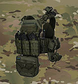 Плитоноски