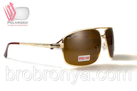 Окуляри поляризаційні BluWater Navigator-2 Polarized (brown), коричневі в золотистій оправі, фото 1